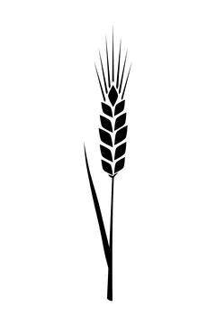 Black ears of wheat. Vector illustration on white isolated background Stock Illustration