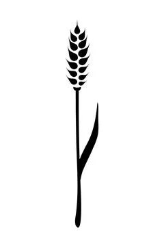 Black ears of wheat. Vector illustration on white isolated background イラスト素材