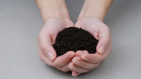 Black earth in the womans hands Stock Footage 93345828