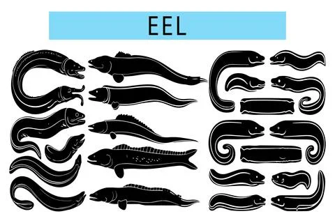 Black Eel vector illustration, Eel silhouette art Ilustración de archivo