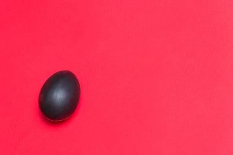 Black egg on the background Stock Photos