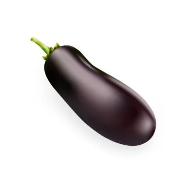 Black eggplant on white background 스톡 일러스트