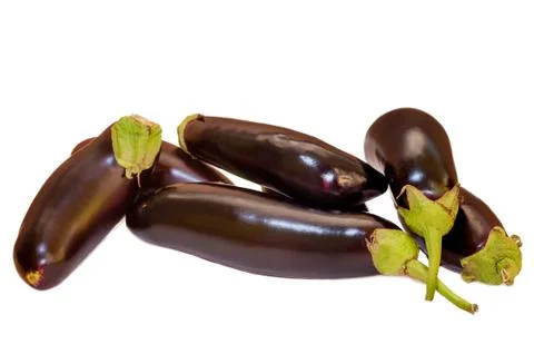 Black eggplants isolated on white background Stock Photos