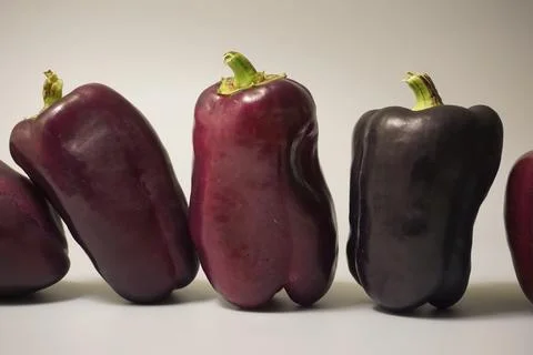 Black eggplants Stock Photos