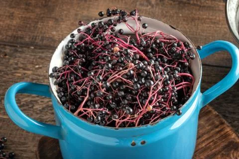 Black elder berries in a pot Foto stock