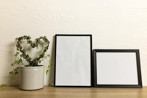 Black empty frames with copy space and heart shape plant on table against white Stock Photos