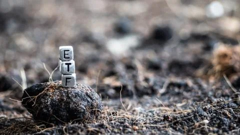 Black ETF texts on silver square put stacked on the soil , Concept Investing  Stock Photos