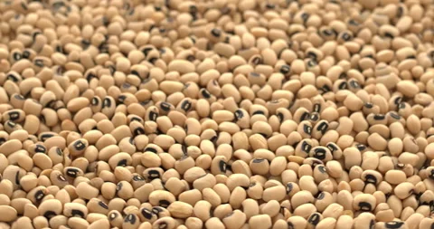 Black-eye beans background texture. Table spin. Seamless loop. Stock Footage 277609106