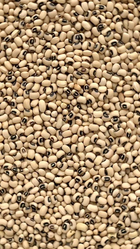 Black-eye beans background texture. Vertical video. Stock Footage 296500343