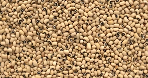 Black-eye beans background texture. Stock Footage 296500360