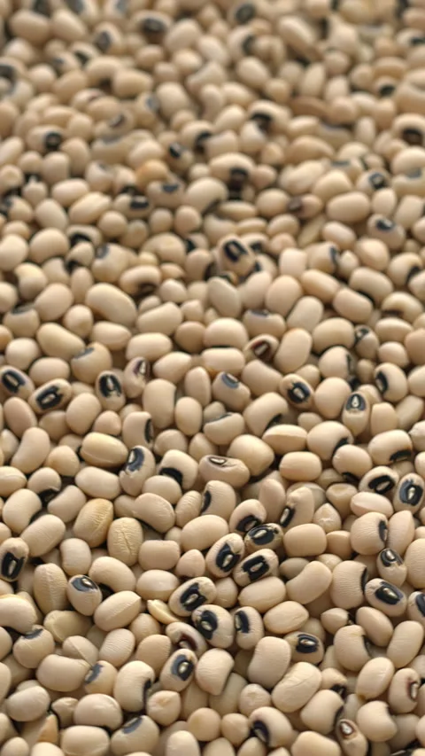 Black eye beans texture. Table spin. Seamless loop  Vertical video. Stock Footage 277712040