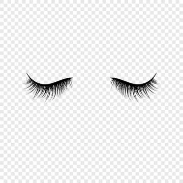 Black eyelashes. False eyelashes. Vector illustration  isolated on transparen Stock Illustration