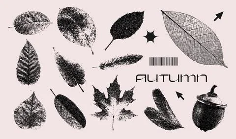 Black fall leaves set in stippling photocopy style. Imprints Stamps of various Stock Illustration