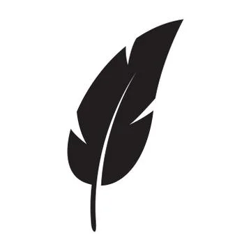 Black feather 스톡 일러스트