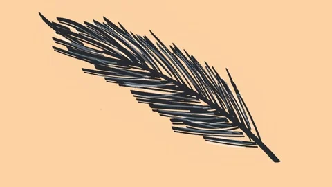 Black feather on an orange pastel background, abstract animation. Stock Footage 314614734