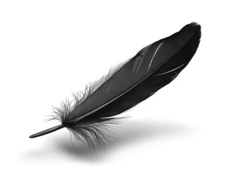 Black Feather Stock Photos