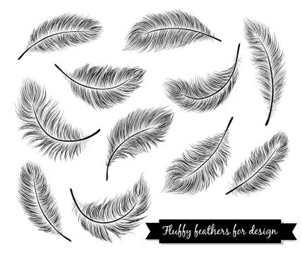 Black feathers Stock Illustration