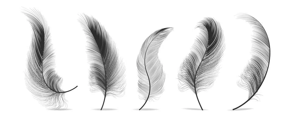 Black Feathers Set Vector. Feather Bird, Soft Plume Design. Isolated Illustrazione stock