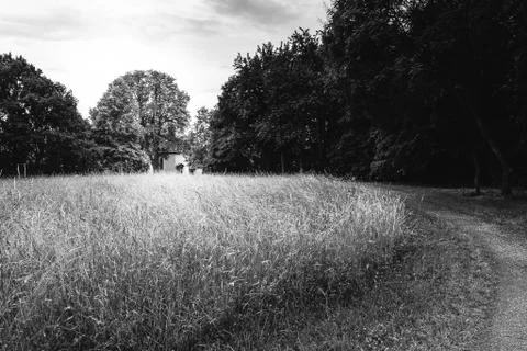 Black field Stock Photos