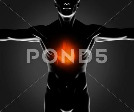 Black figure with highlighted stomach Stock Illustration