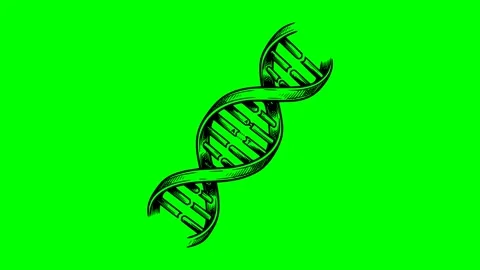 Black fill hand drawn style dna helix genetic biology animation Stock Footage 335835268