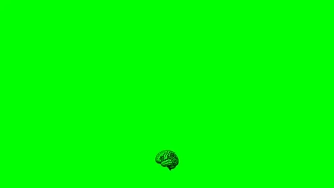 Black-fill-hand-drawn-style-brain-gears-intelligence-mechanism animation Stock Footage 335837696