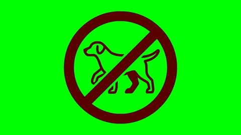 Black fill hand drawn style no dogs allowed prohibition sign icon pet flash Stock Footage 338351008