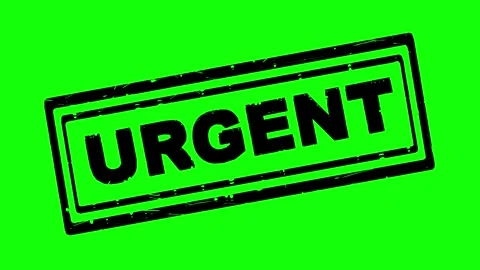 Black fill hand drawn style urgent stamp wiggle effect Video stock 342079689