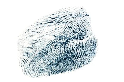 Black fingerprint pattern isolated on white background Stock Photos