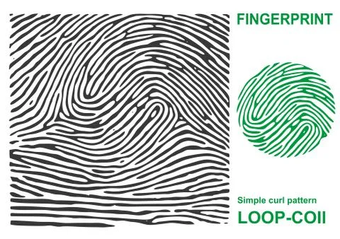 Black fingerprint shape secure. identification ID finger. Stock Illustration