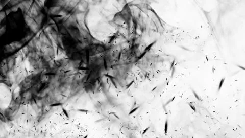 Black fire on isolated background with smoke particles. Texture overlays. Des Stock Illustration