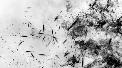 Black fire on isolated background with smoke particles. Texture overlays. Des Stock Illustration