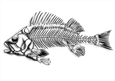 Black fish skeleton Stock Illustration