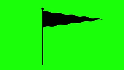 Black flag and white flag waving animated triangular checkered flag moving .. Stock Footage 322142969