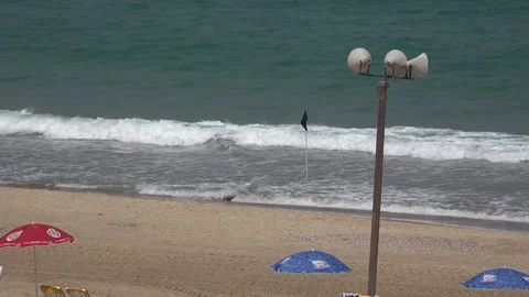 Black Flag at the beach Stock Footage 111153058