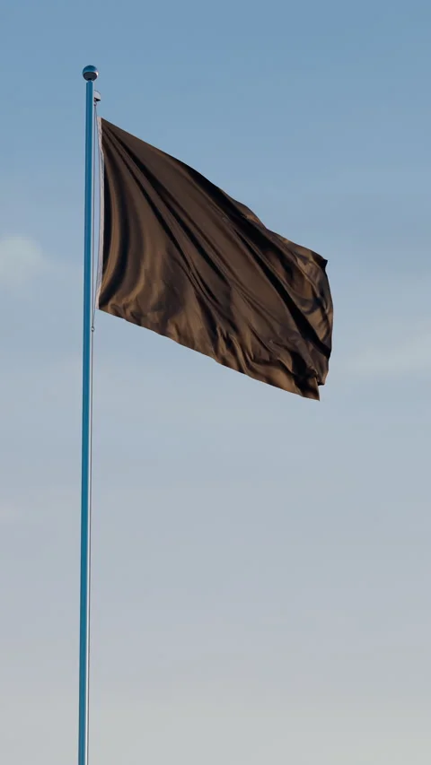 Black Flag: Cinematic Vertical Waving Flag Against Blue Sky Stock Footage 321804176