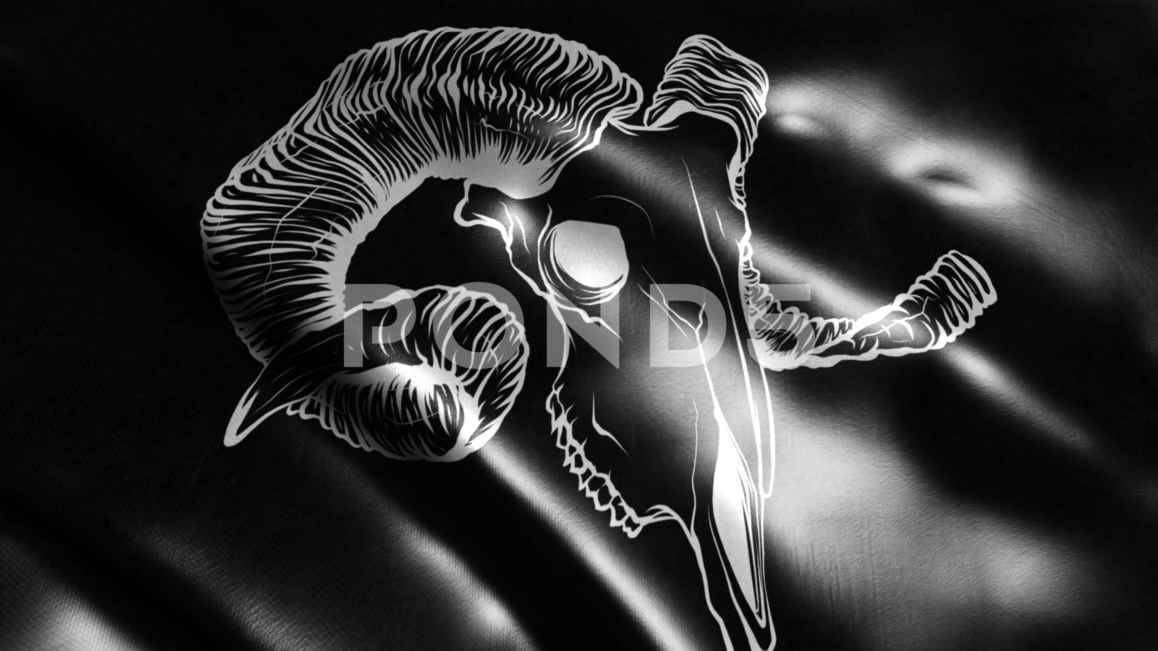 Sheep Skull Wallpaper