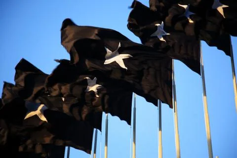Black flags Stock Photos