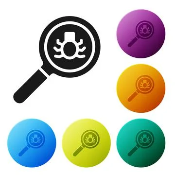 Black Flea search icon isolated on white background. Set icons in color circle Stock Illustration