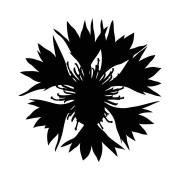 Black floral design with sharp petals vector Stock Illustration