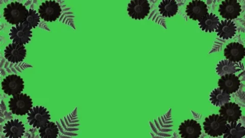 Black Floral Frame Green Screen Video Overlay Stock Footage 344767201