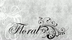 BLACK FLORAL INTRO Stock After Effects