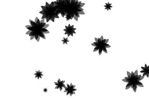Black floral pattern on white background Abstract botanical design element. 库存插图