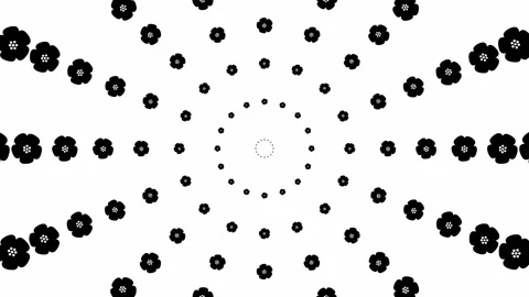 Black flower circles background white Stock Footage 231684840