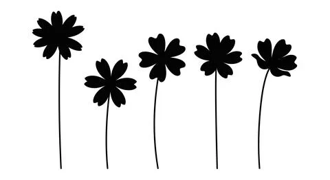 Black flowers on white background 스톡 일러스트