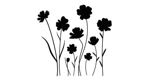 Black flowers on white background Stockillustratie
