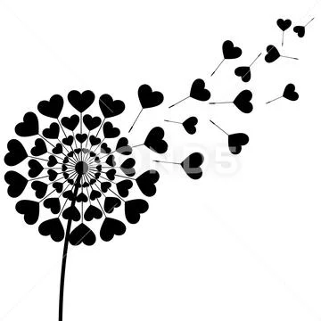 Black fluff dandelion heart shaped on white background Stock Illustration