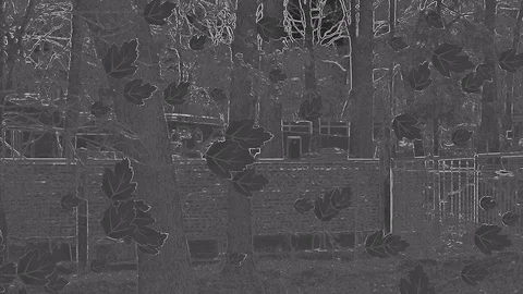 Black Foliage With Effect Of Falling In Move On Sketch Artwork Stock Footage 91357736