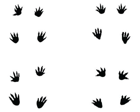 Black footprints of crocodile Stock Illustration