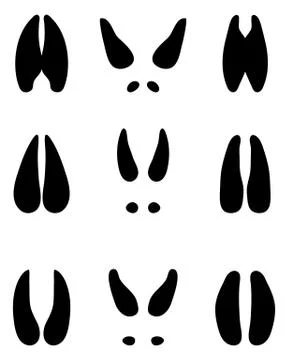 Black footprints of deer Stock Illustration